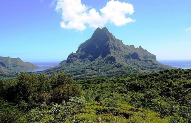 Tour por Moorea - Foto 2