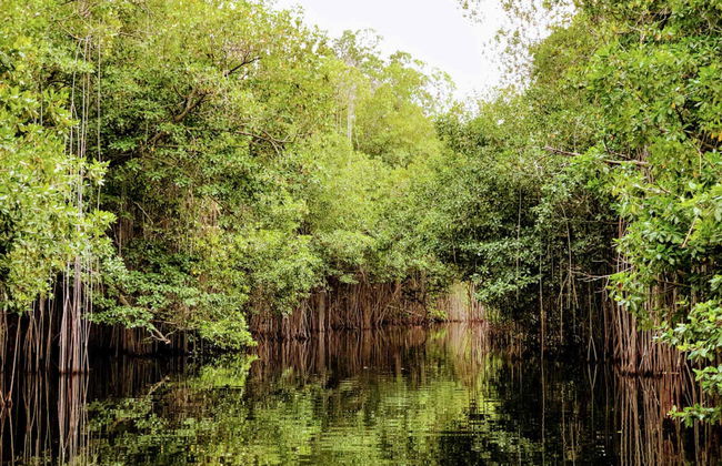 Excursión a Río Negro y Cataratas YS - Foto 1