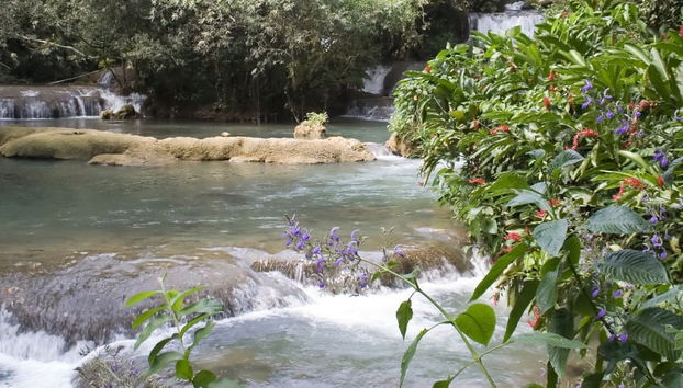 Excursión a Río Negro y Cataratas YS - Foto 4