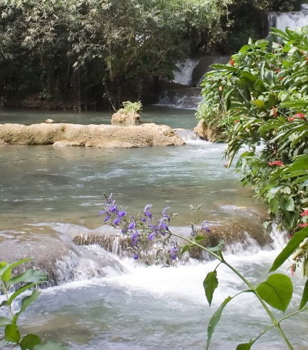 Foto de Excursión a Río Negro y Cataratas YS