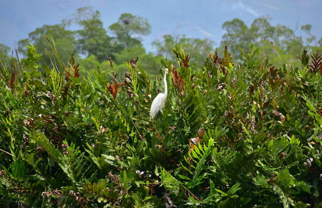 Excursión a Río Negro y Cataratas YS - Foto 3