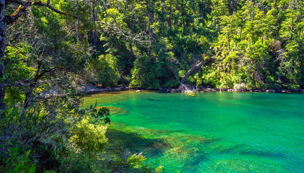 Escursione a Yuco, cascata Chachín e Hua Hum - Foto 2