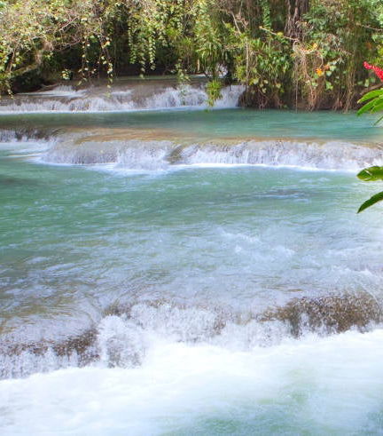 Foto de Excursión a las cascadas del río Dunn
