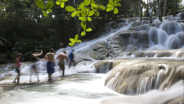 Excursión a las cascadas del río Dunn - Foto 5