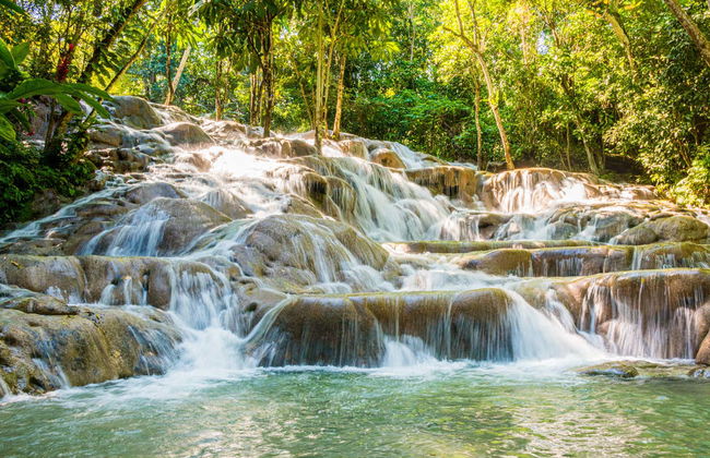 Excursión a las cascadas del río Dunn - Foto 3
