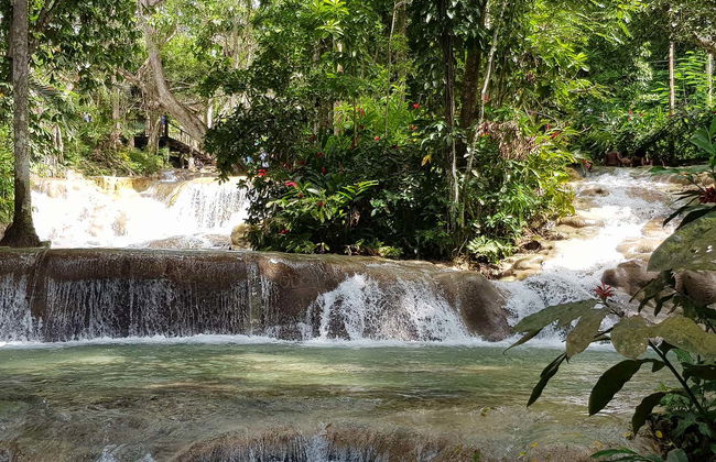 Excursión a las cascadas del río Dunn - Foto 7