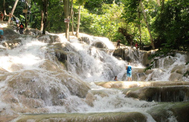 Excursión a las cascadas del río Dunn - Foto 4