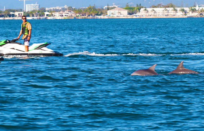 Gold Coast Jet Ski Tour - Foto 5