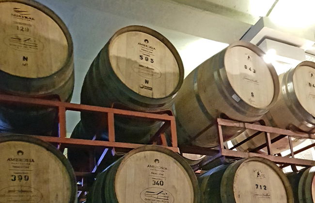 South Luján de Cuyo Wine Region Tour - Photo 2