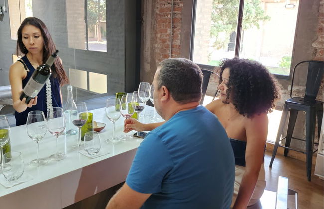 South Luján de Cuyo Wine Region Tour - Photo 10