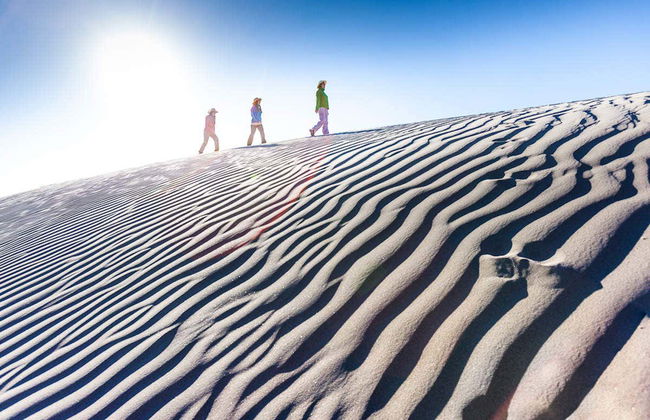 Cafayate Day Trip - Foto 4