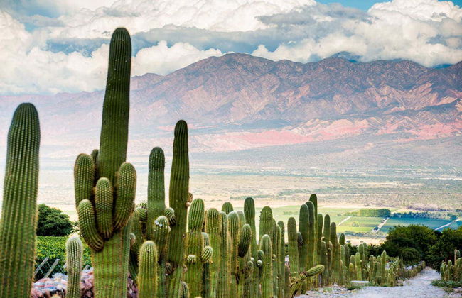 Cafayate Day Trip - Foto 6