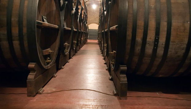 Cafayate Day Trip - Photo 3