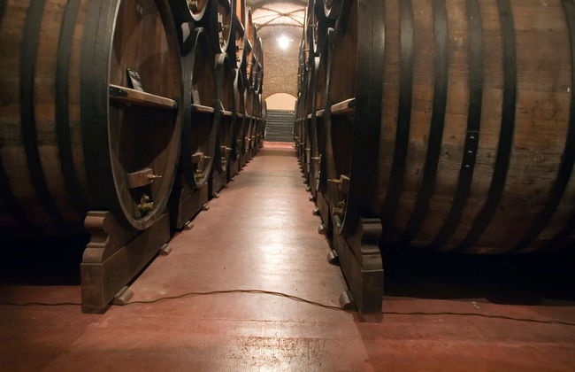 Cafayate Day Trip - Foto 3