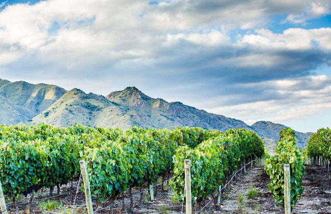 Cafayate Day Trip - Foto 3