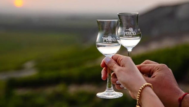 Visite à la découverte du Pisco et du vin - Photo 1