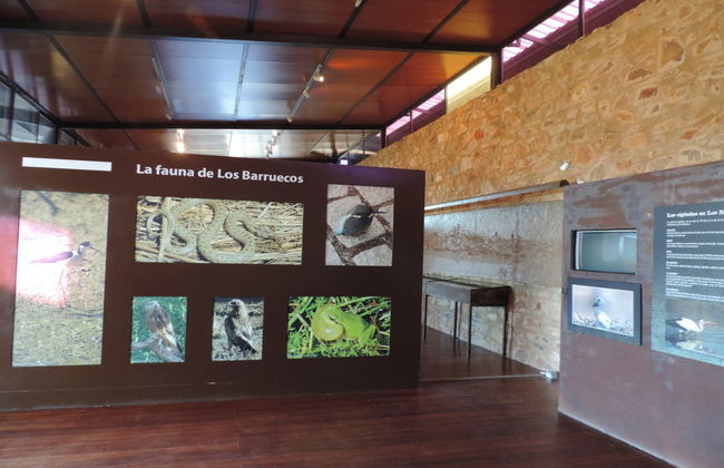 Excursion à Los Barruecos - Photo 2