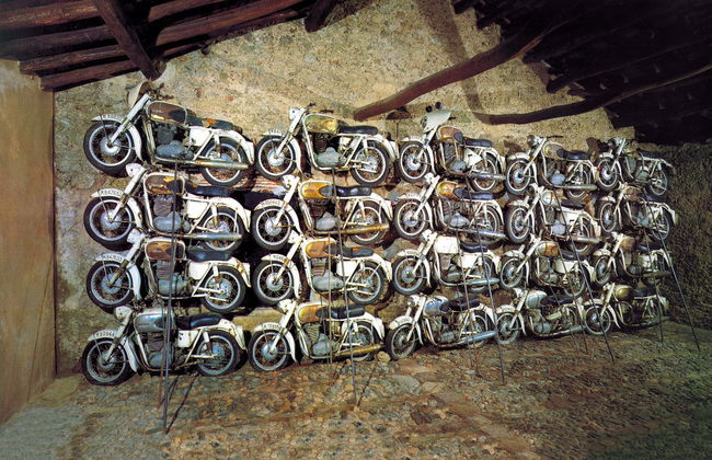 Excursion à Los Barruecos - Photo 4