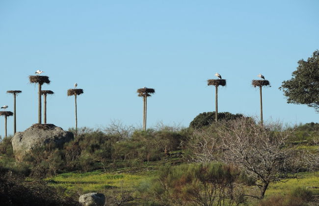 Excursion à Los Barruecos - Photo 1