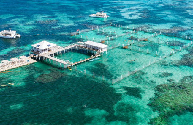 Marinarium Snorkeling Cruise - Foto 8