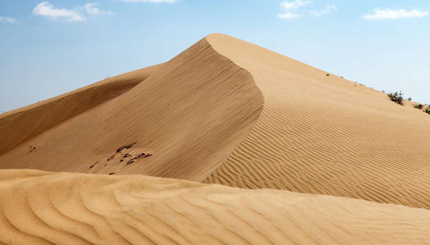 Sandboarding in Cerro Blanco - Foto 4