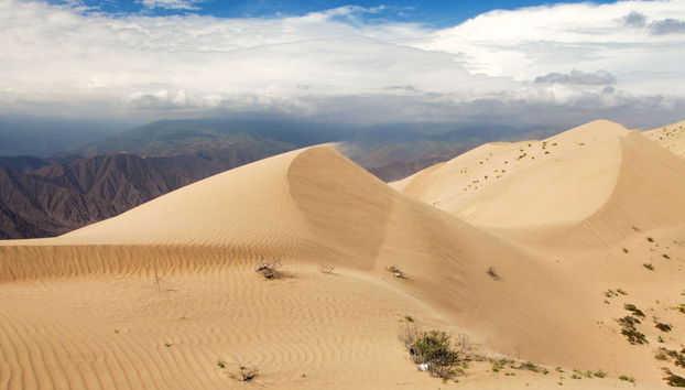 Sandboarding in Cerro Blanco - Foto 2