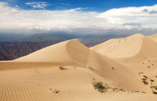 Sandboarding in Cerro Blanco - Foto 2