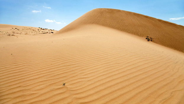 Sandboarding in Cerro Blanco - Foto 3