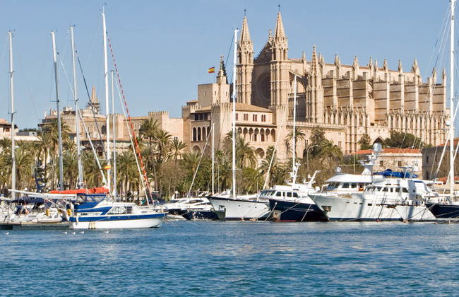 Tour privado por Palma - Foto 5