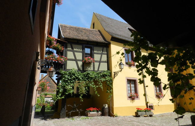 Tour por Eguisheim e Turckheim + Degustação de vinhos - Foto 7