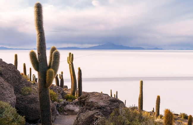 Tour de 4 días por Uyuni finalizando en La Paz - Foto 3