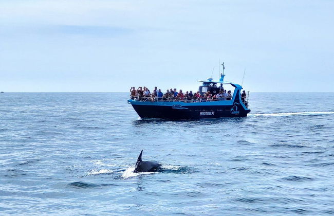 Giro in barca nella grotta di Benagil + Avvistamento di delfini - Foto 3