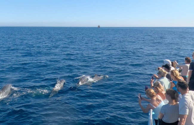Giro in barca nella grotta di Benagil + Avvistamento di delfini - Foto 11
