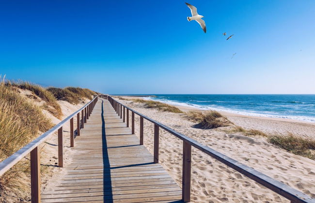 Tour di Costa Nova + Saline + Giro in moliceiro - Foto 6