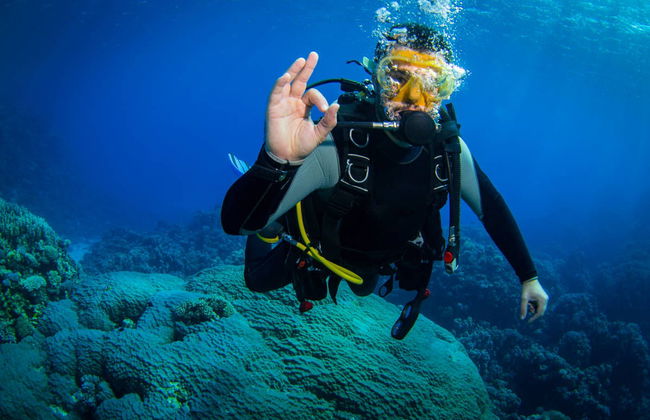 Bautismo de buceo en La Ametlla de Mar - Foto 1