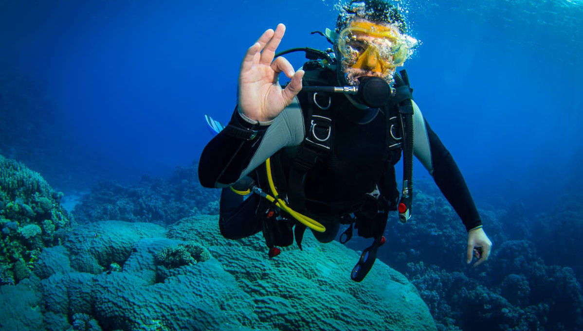 La Ametlla de Mar Beginners Scuba Diving Lesson - Foto 1
