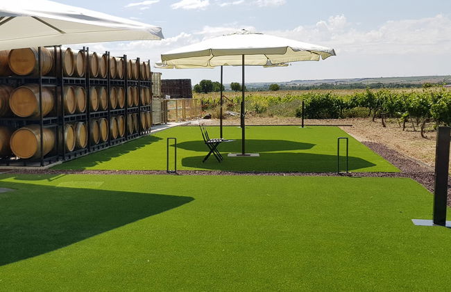 Visita alle cantine Concejo - Foto 2