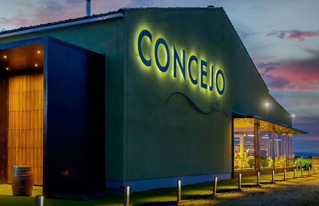 Visita alle cantine Concejo - Foto 3