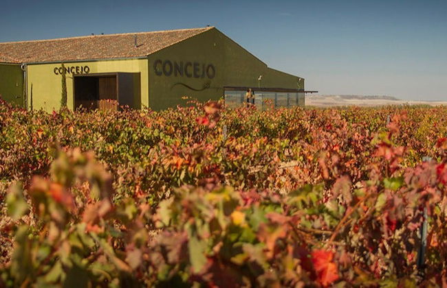 Visita alle cantine Concejo - Foto 5