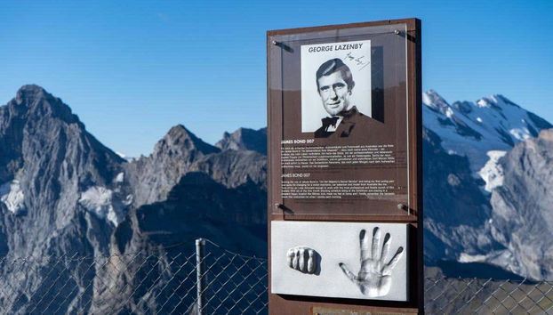 Une expérience incontournable !