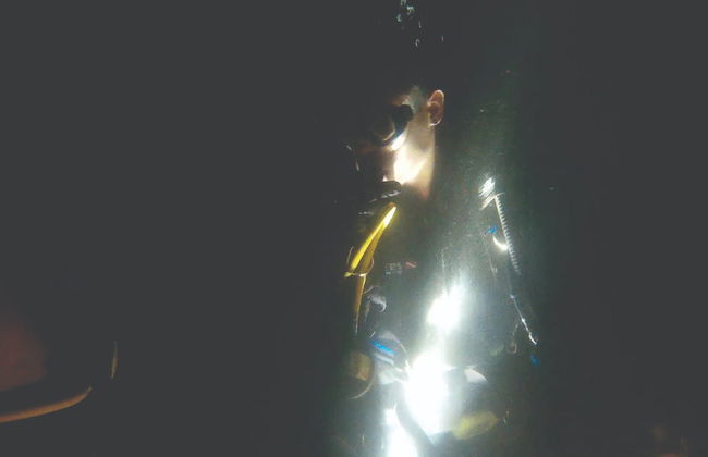 Buceo nocturno en Ilhabela - Foto 3