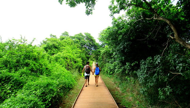 Trekking nella baia di Golfinhos - Foto 2