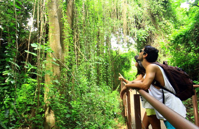 Trilha + Avistamento de golfinhos rotadores - Foto 6