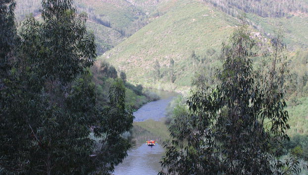 Paiva River Rafting Tour - Photo 4