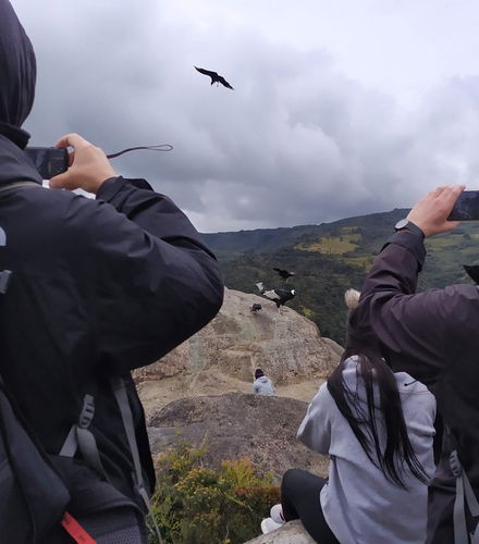 Foto de Avistamiento de cóndores en Puracé + Termales de San Juan