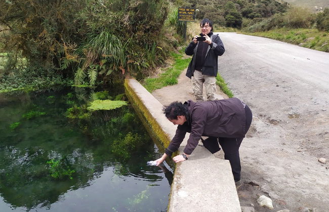 Avvistamento di condor a Puracé + Terme di San Juan - Foto 7
