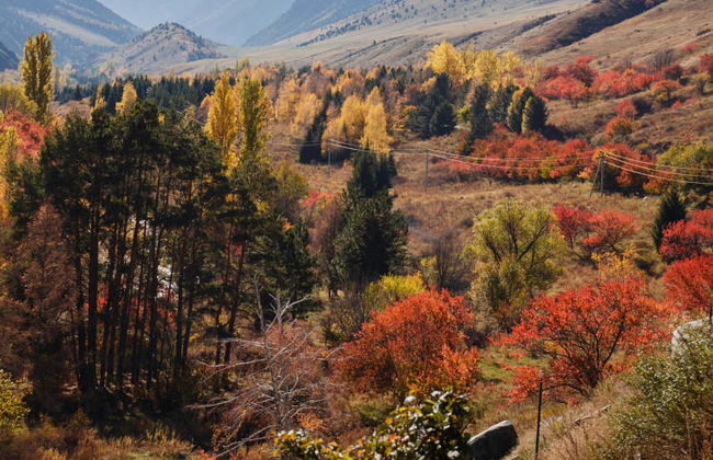 Ala Archa National Park Private Day Trip - Photo 4