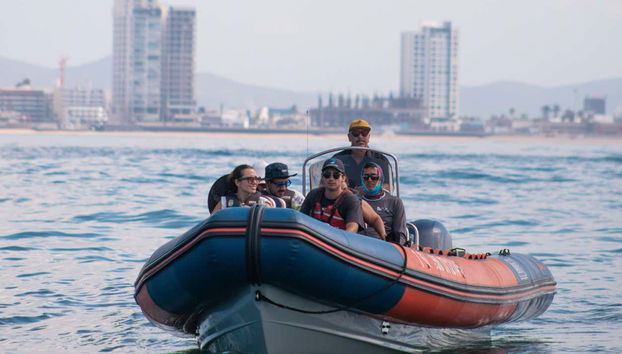 Avistamento de baleias em Mazatlán - Foto 2