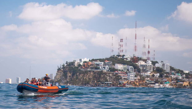 Avistamento de baleias em Mazatlán - Foto 3