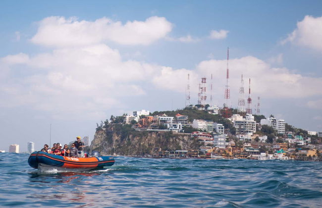 Avistamento de baleias em Mazatlán - Foto 3